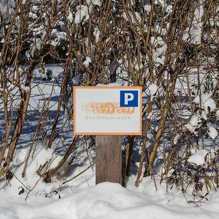 Riedz Innsbruck- Zentrales Apartmenthaus Mit Gruener Oase Διαμέρισμα *