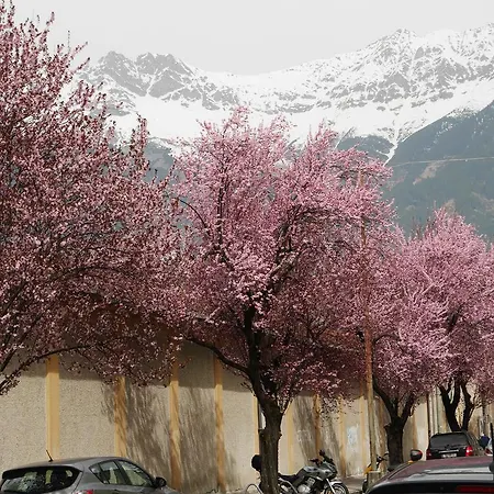 Riedz Innsbruck- Zentrales Apartmenthaus Mit Gruener Oase * Innsbruck