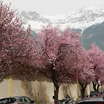 Riedz Innsbruck- Zentrales Apartmenthaus Mit Grüner Oase * Innsbruck