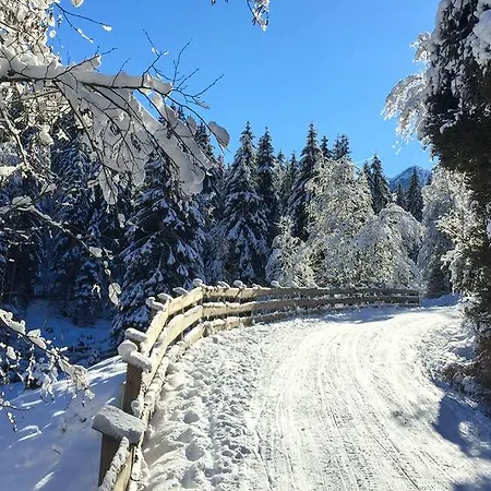 Riedz Innsbruck- Zentrales Apartmenthaus Mit Gruener Oase Apartmán Innsbruck
