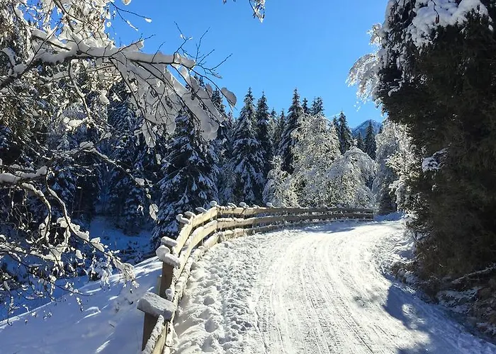 Riedz Innsbruck- Zentrales Apartmenthaus Mit Gruener Oase Apartment Innsbruck