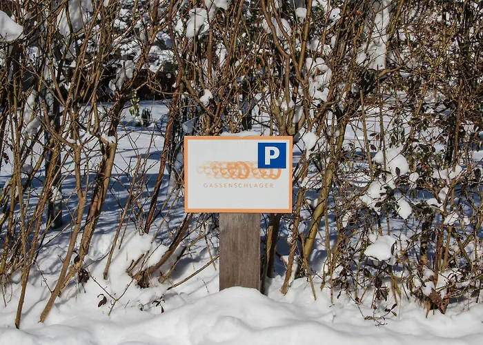 Riedz Innsbruck- Zentrales Apartmenthaus Mit Gruener Oase 아파트 *