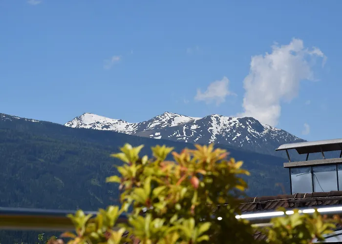 Riedz Innsbruck- Zentrales Apartmenthaus Mit Gruener Oase *