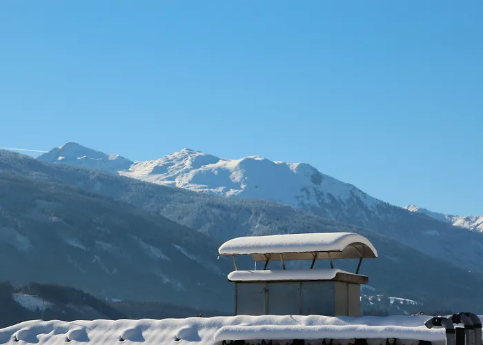 Riedz Innsbruck- Zentrales Apartmenthaus Mit Gruener Oase * 인스브루크