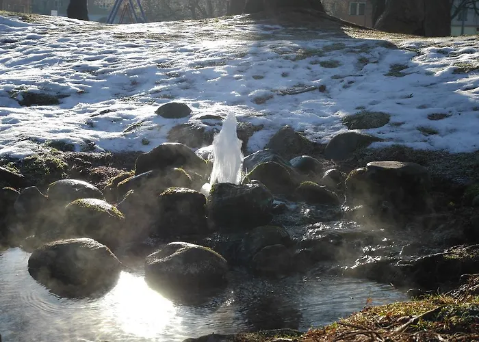 Riedz Innsbruck- Zentrales Apartmenthaus Mit Gruener Oase 인스브루크