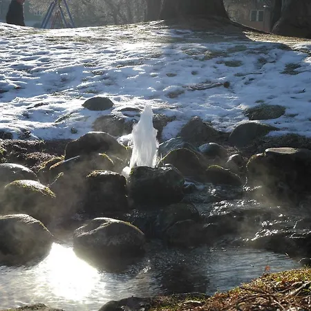 Riedz Innsbruck- Zentrales Apartmenthaus Mit Gruener Oase Innsbruck