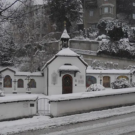 Riedz Innsbruck- Zentrales Apartmenthaus Mit Gruener Oase
