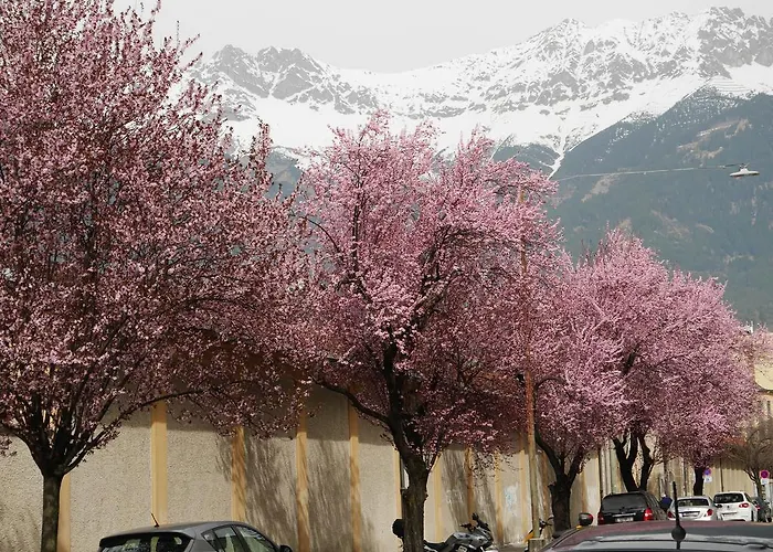 Riedz Innsbruck- Zentrales Apartmenthaus Mit Gruener Oase * İnnsbruck